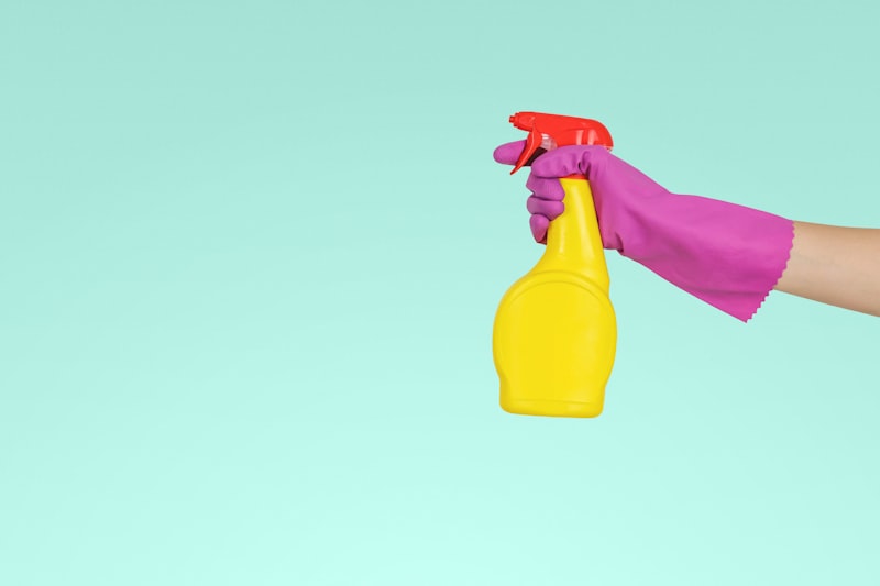 Cleaning supplies neatly arranged